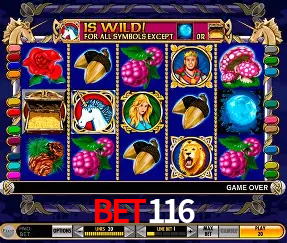 A Emoção da Loteria na Bet116: Uma Chance de Mudança de Vida